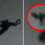 The Mothman Prophecies Makhluk Misterius Pembawa Pertanda Buruk