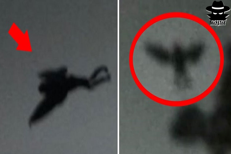 The Mothman Prophecies Makhluk Misterius Pembawa Pertanda Buruk